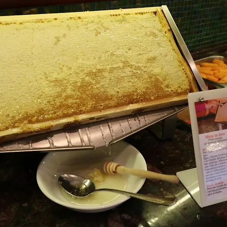 מלון Majestic & Wellness 4*