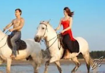 מלון Majestic & Wellness 4*