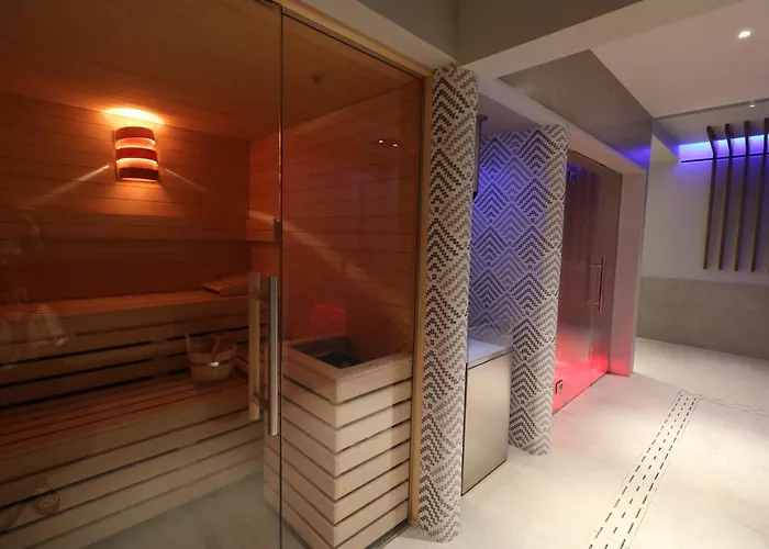 Majestic & Wellness 酒店