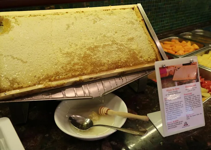 فندق Majestic & Wellness 4*